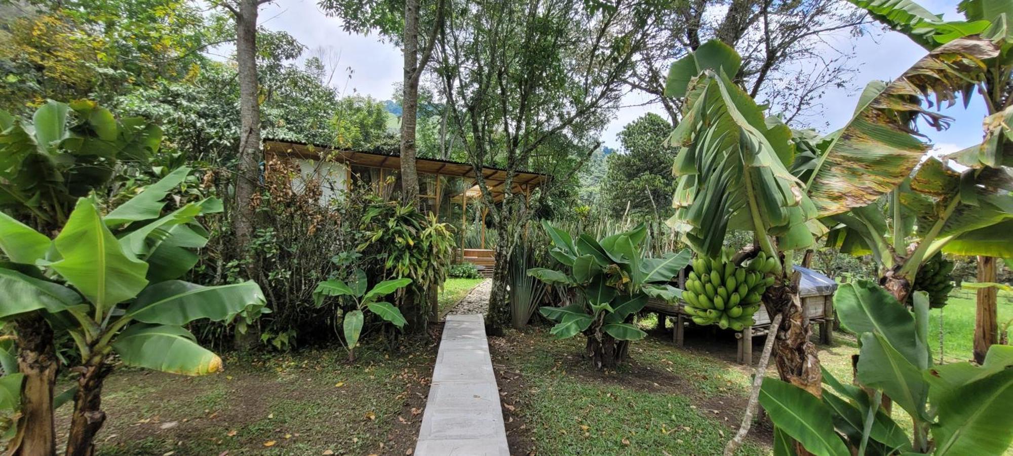 Exclusivo Cocora Con Jacuzzi Salento Quindio Villa Exterior photo