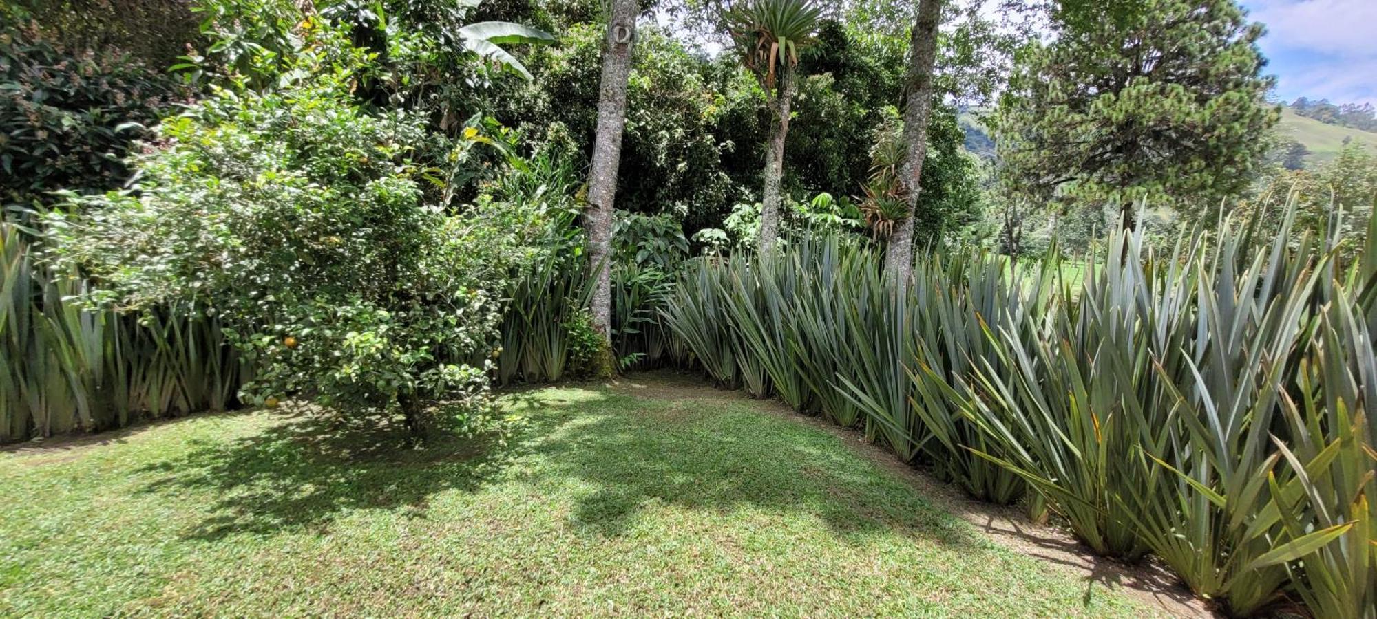 Exclusivo Cocora Con Jacuzzi Salento Quindio Villa Exterior photo