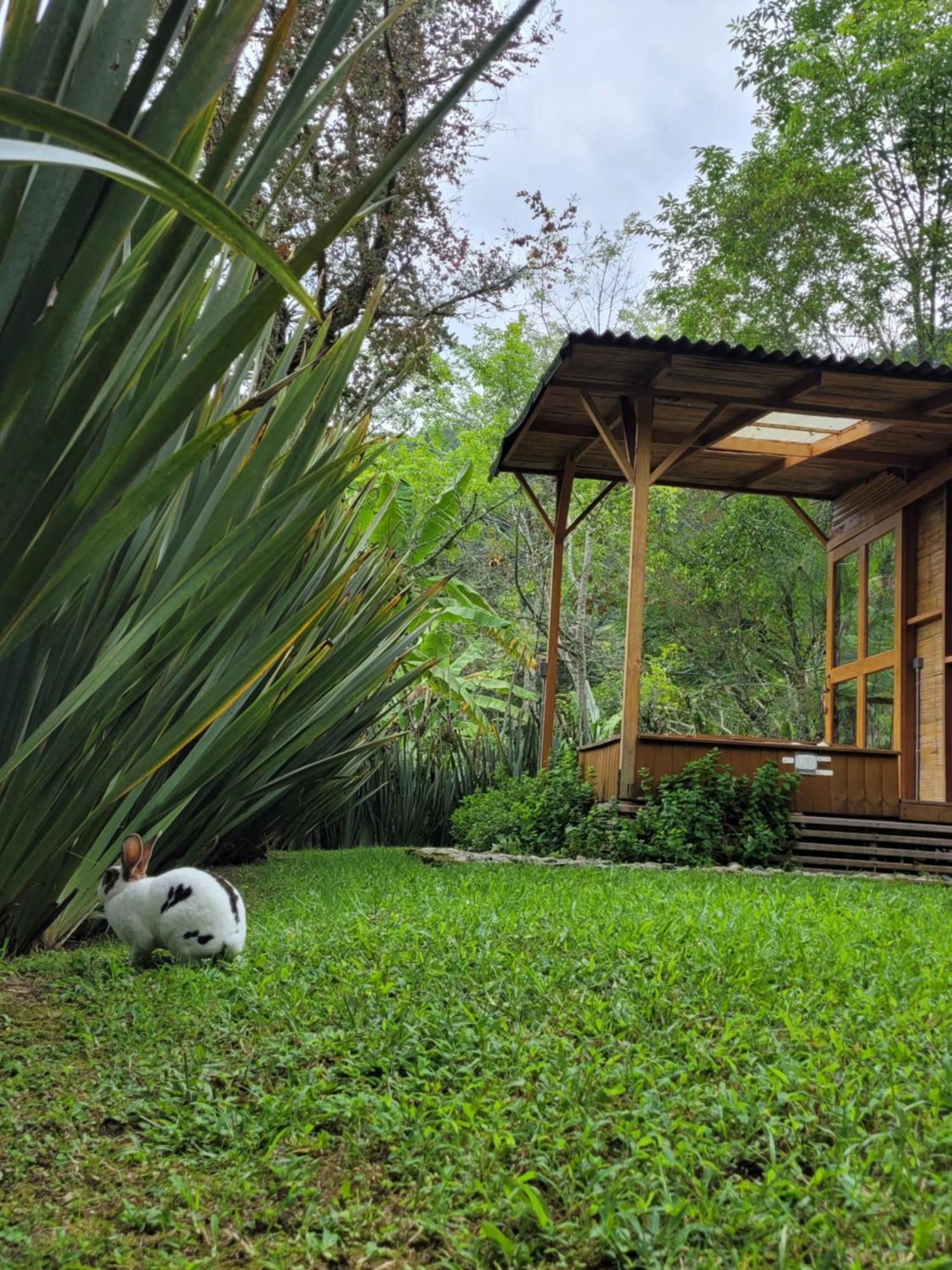 Exclusivo Cocora Con Jacuzzi Salento Quindio Villa Exterior photo